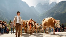 Transumanze d’autunno, 7 borghi dove passano ancora le greggi