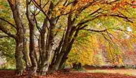 Outdoor d’autunno: i percorsi più instagrammabili da provare subito