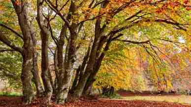 Outdoor d’autunno: i percorsi più instagrammabili da provare subito