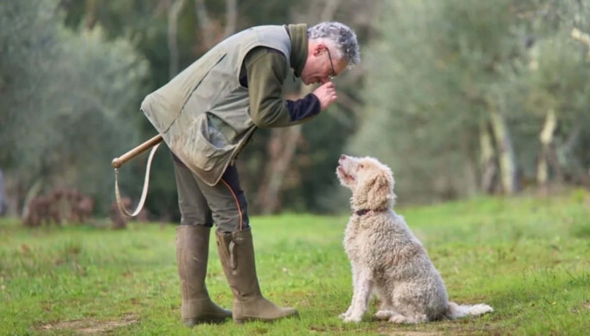 Cerca del tartufo a San Giovanni d'Asso