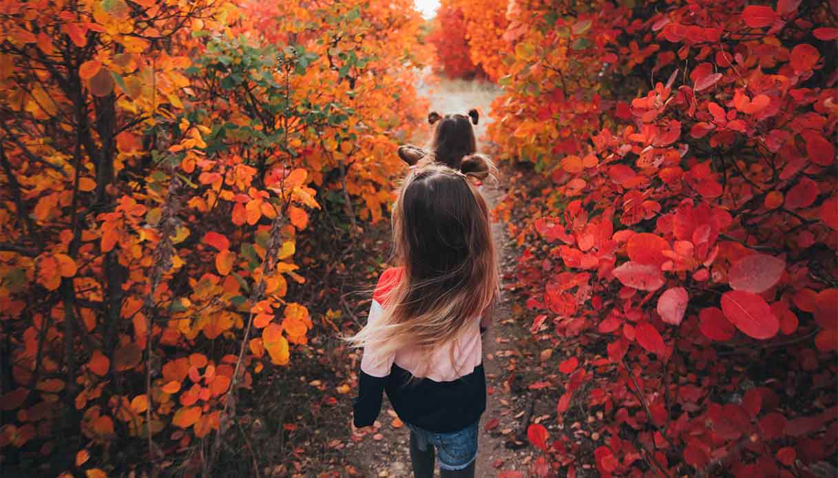 I foliage più belli del mondo