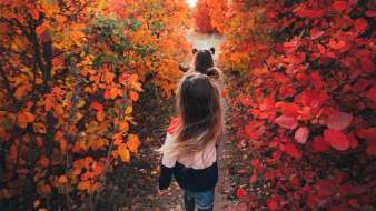 I foliage più belli del mondo