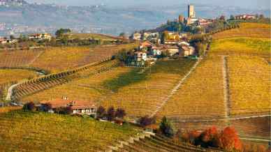 Autunno nelle Langhe: 7 luoghi per vivere il foliage