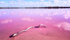 Riapre il famoso lago rosa in Kazakistan, chiuso per cinque anni a causa di una fake news