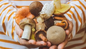 Le migliori sagre dei funghi in Italia: gli appuntamenti da non perdere nell’autunno 2025