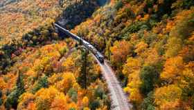 Treni del foliage: i viaggi più spettacolari in Italia e in Europa