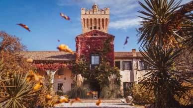 Giornata delle Ville Venete: vivi la magia delle dimore che raccontano la storia