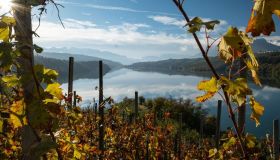 Fuga d’autunno in malga: 5 esperienze magiche per vivere la montagna