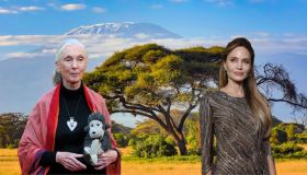 Jane’s Journey: le location simbolo che raccontano la vita (stra)ordinaria di Jane Goodall