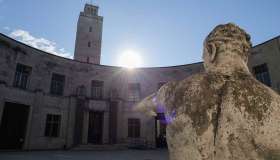 Le mostre di novembre 2025 da vedere in Italia