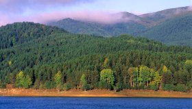 La Calabria tra profumi e luci nei boschi antichi della Sila