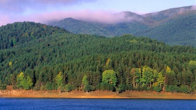 La Calabria tra profumi e luci nei boschi antichi della Sila