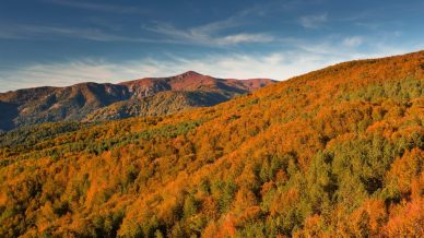 Calabria: sui sentieri dell’Aspromonte illuminati dal sole ogni roccia si trasforma in oro