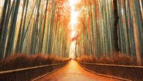 Dove andare a novembre: lasciati incantare da 7 mete di viaggio straordinarie