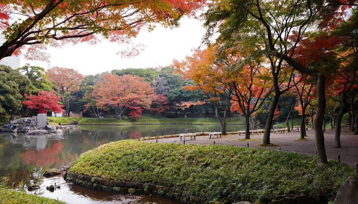 Foliage in Giappone: dove ammirare lo spettacolo dell’autunno