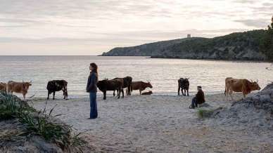 Le splendide location della Sardegna del film La vita va così