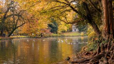 Foliage in Lombardia: 10 luoghi incantati dove l’autunno si veste di colori sgargianti