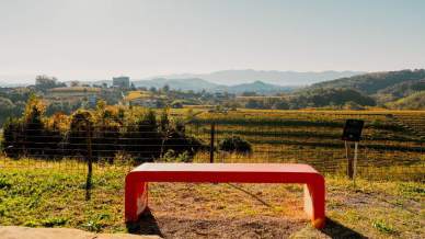 Il percorso delle panchine arancioni di Oslavia, dove la memoria cammina tra le vigne