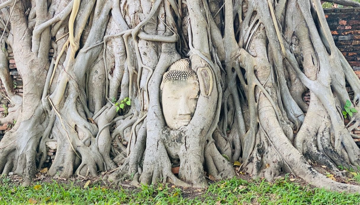 Buddha ayutthaya
