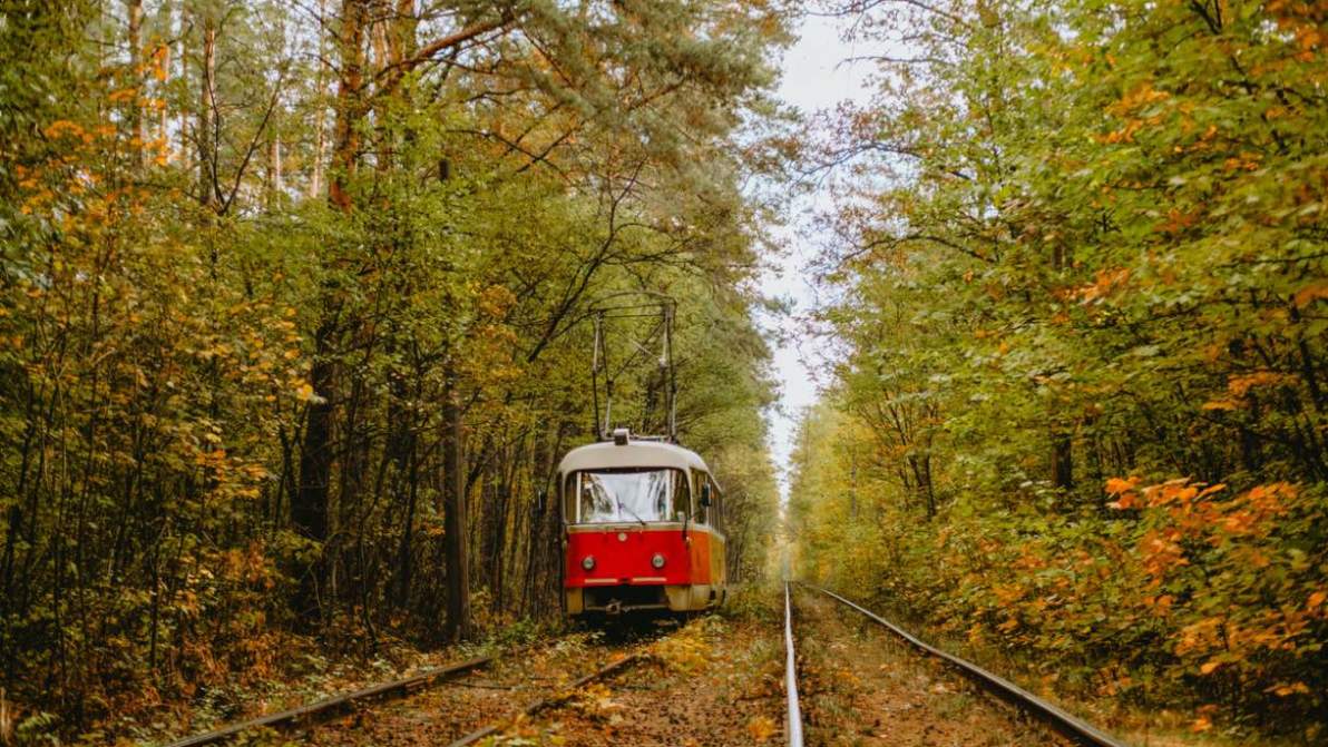 Autunno a bordo dei treni per le sagre: itinerari lenti tra borghi e piatti tipici