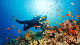 Diventare “scienziati” nel cuore della natura: la nuova tendenza di viaggio 2026