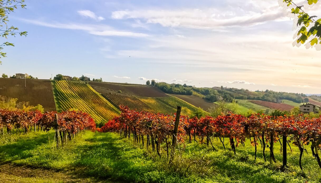 Castelvetro di Modena