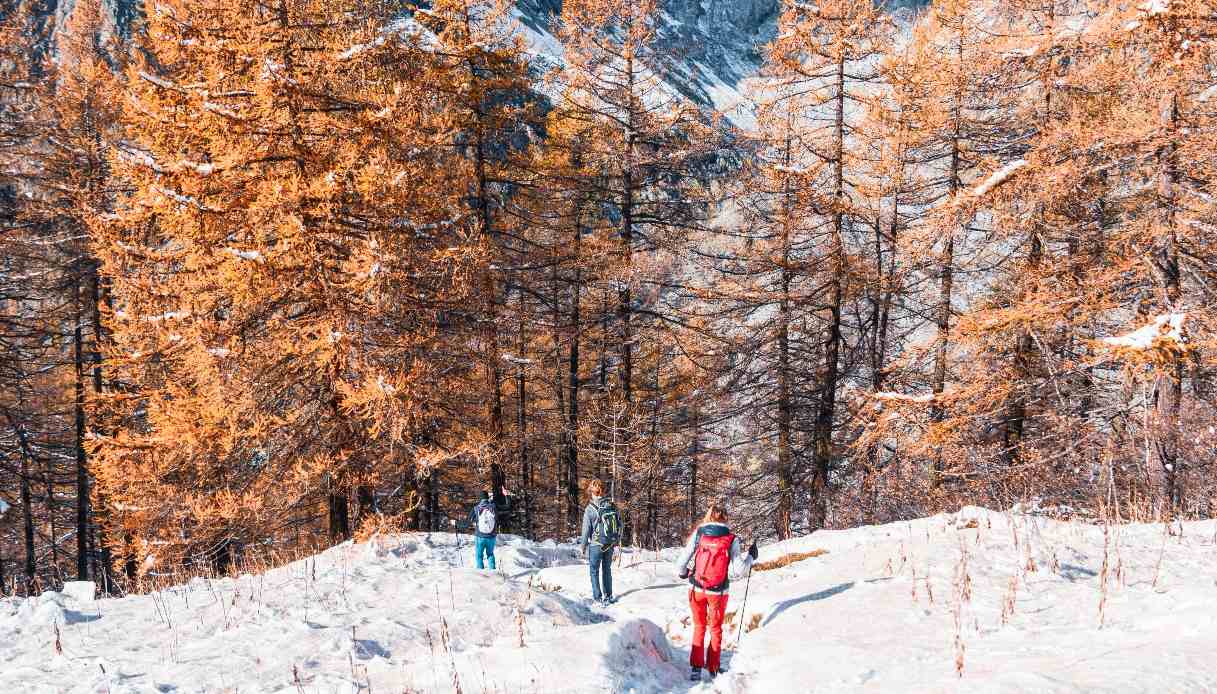 Un viaggio tra magie d’inverno e fughe al sole: dove andare a Natale 2025