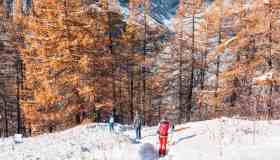 Un viaggio tra magie d’inverno e fughe al sole: dove andare a Natale 2025