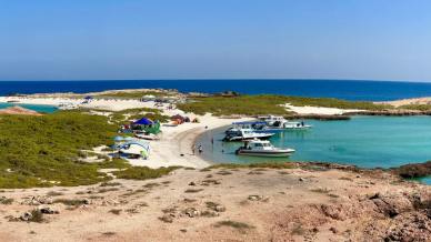 Alle Isole Daymaniyat c’è l’Oman più autentico, tra barriera corallina e silenzi selvaggi