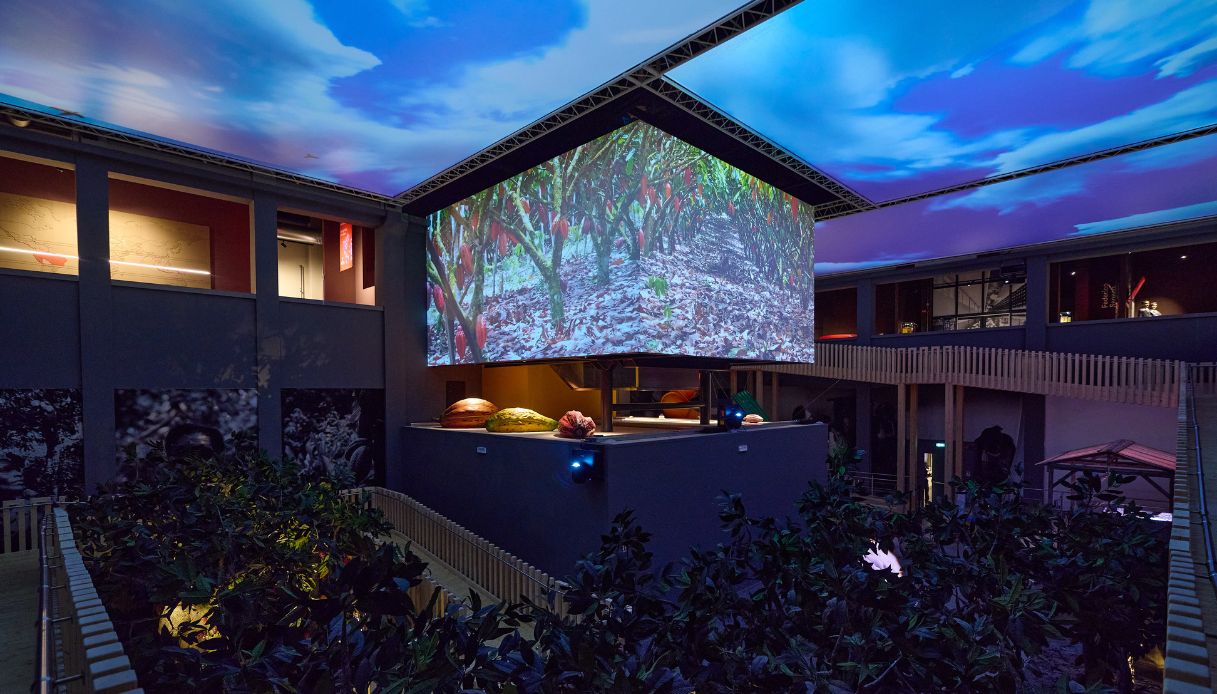 la foresta tropicale della Città del Cioccolato a Perugia