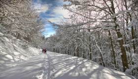 Parco delle Foreste Casentinesi in inverno: trekking fra boschi, eremi e silenzio