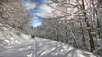 Parco delle Foreste Casentinesi in inverno: trekking fra boschi, eremi e silenzio