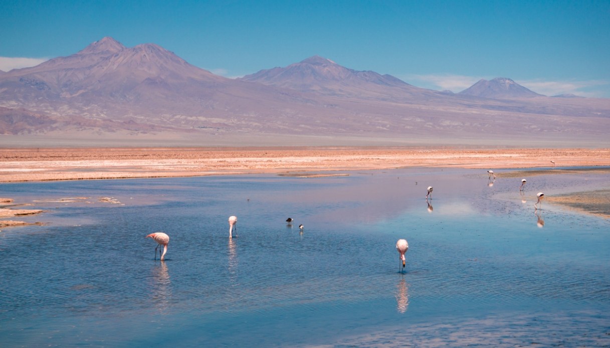 Sconti per viaggi 2026 con le offerte Black Friday di Booking