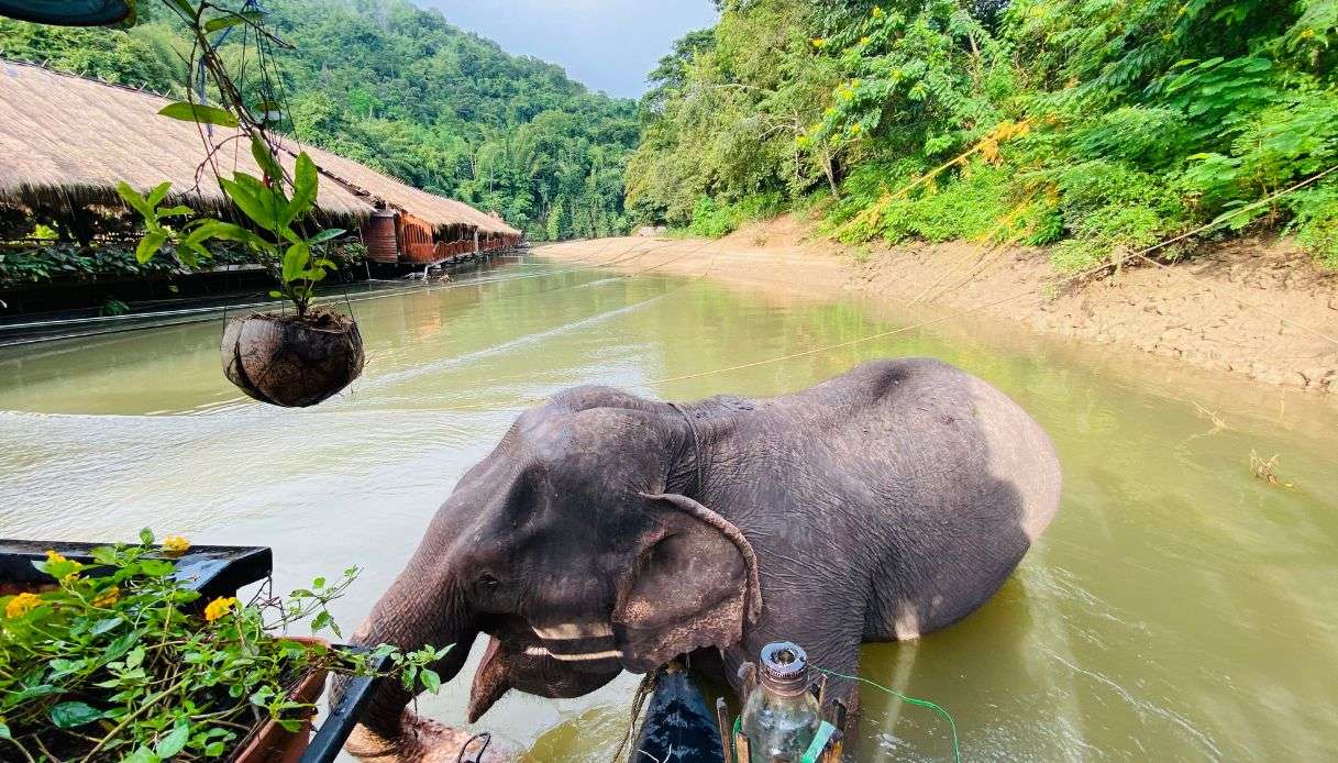 fiume Kwai thailandia