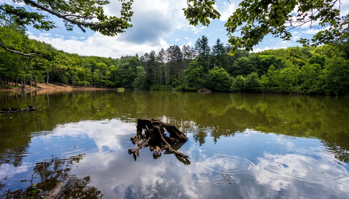 Parco Gargano inverno