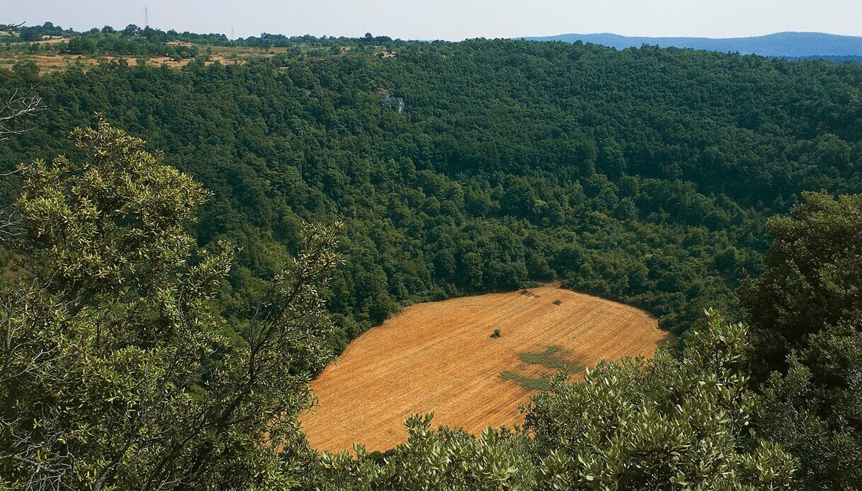 Parco Gargano inverno