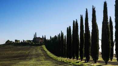 Le tappe della Fiamma Olimpica in Toscana: un viaggio tra luce, storia e bellezza