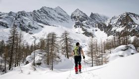 Parchi naturali in inverno: quali sono i migliori da visitare in Italia