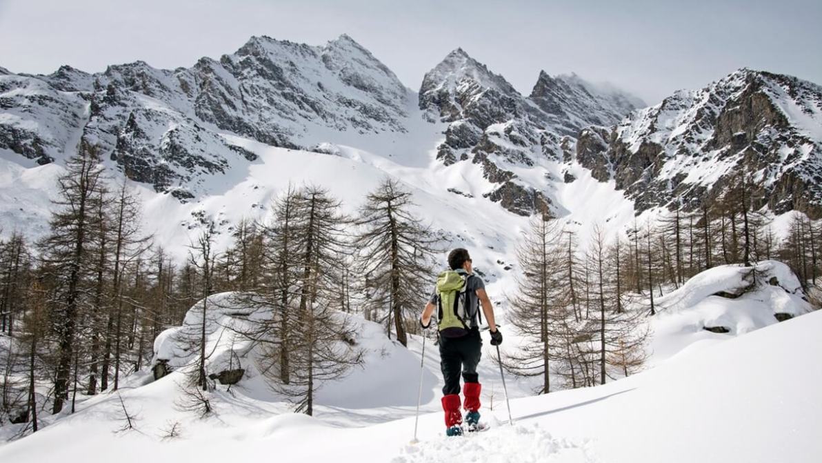 Parchi naturali in inverno: quali sono i migliori da visitare in Italia