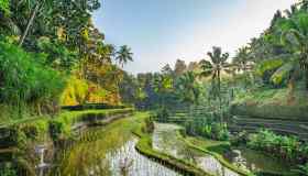 Nella classifica delle migliori destinazioni del 2026 c’è un’italiana secondo TripAdvisor