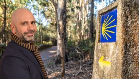 Dal film di Checco Zalone al Cammino di Santiago, è boom di ricerche sul web per questi percorsi