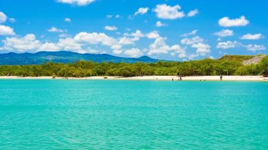 Galápagos sotto assalto, il paradiso paga il prezzo del successo