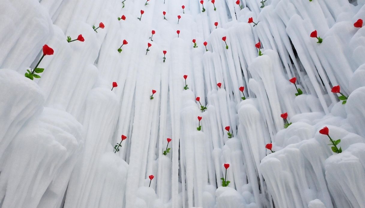 L'installazione Frozen Roses sulle pareti di un ghiacciaio in Cina