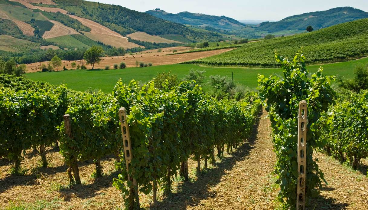 Il borgo di Montalto Pavese è il “balcone dell’Oltrepò” e sta vendendo case a 1 euro