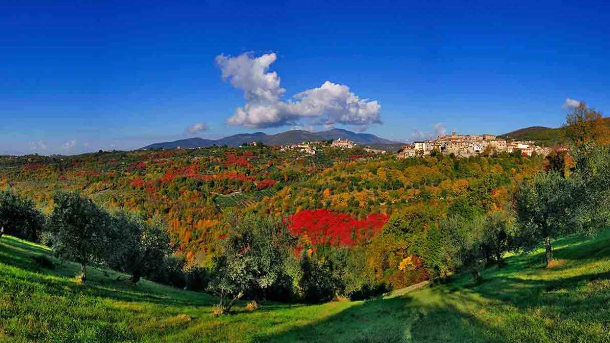Dal salame alla bruschetta, dalla polenta ai tortelli, le sagre e gli eventi del weekend dal 23 al 25 gennaio 2026