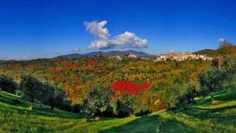 Dal salame alla bruschetta, dalla polenta ai tortelli, le sagre e gli eventi del weekend dal 23 al 25 gennaio 2026