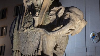 Roma, sfregiata la statua dell’elefantino di Bernini: zanna spezzata al simbolo storico