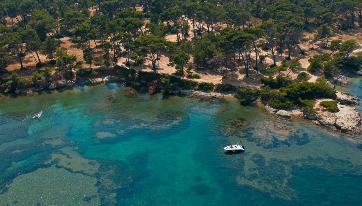 Alla scoperta dell’Isola di Embiez, tra profumo di sale e vigne selvagge del Mediterraneo