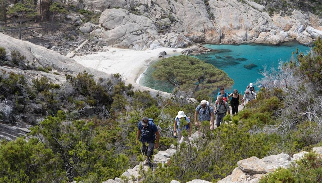 Escursioni 2026 all'isola Montecristo