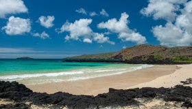 Galápagos, per la prima volta in quasi due secoli le tartarughe giganti tornano a Floreana